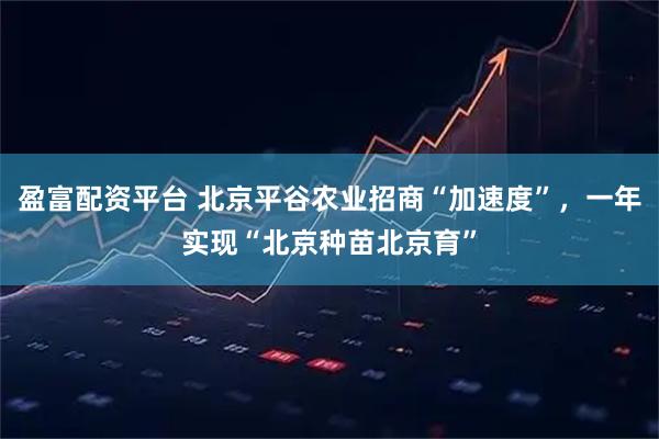 盈富配资平台 北京平谷农业招商“加速度”，一年实现“北京种苗北京育”