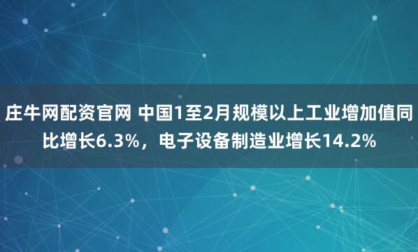 庄牛网配资官网 中国1至2月规模以上工业增加值同比增长6.3%，电子设备制造业增长14.2%