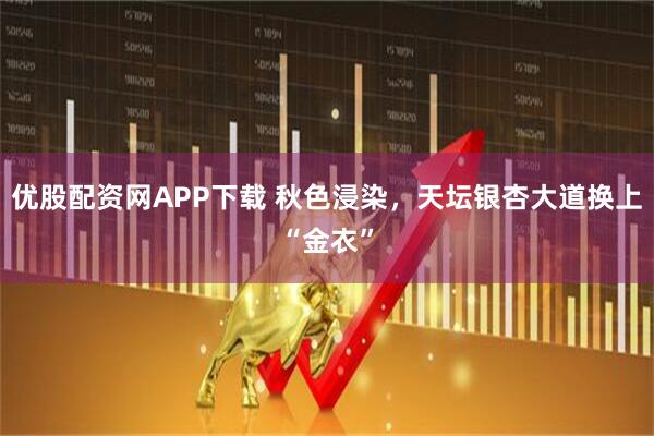 优股配资网APP下载 秋色浸染，天坛银杏大道换上“金衣”