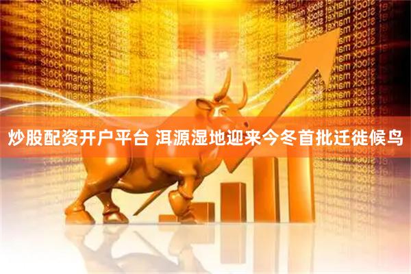 炒股配资开户平台 洱源湿地迎来今冬首批迁徙候鸟